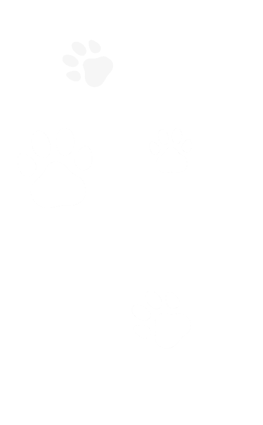 paws