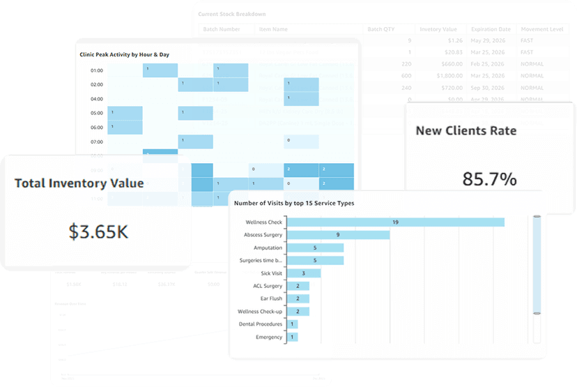 Business Intelligence